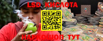 крисы Кимры