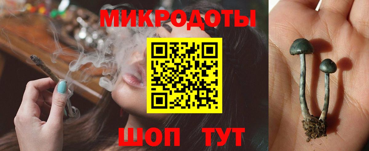 Галлюциногенные грибы Psilocybe  купить наркотики цена  Хасавюрт  Вход с VPN 